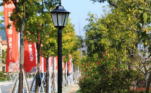 阿里装庭院灯避坑指南：庭院路灯防雷接地要点